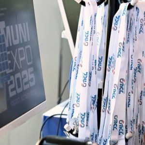 שרוכים לתגים